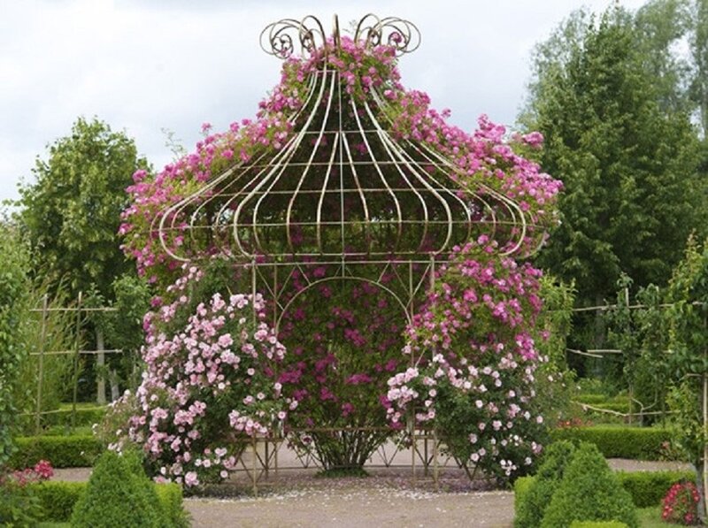 Rose-covered Gazebo — Pink