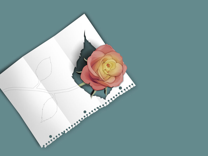 rose emerging from paper
