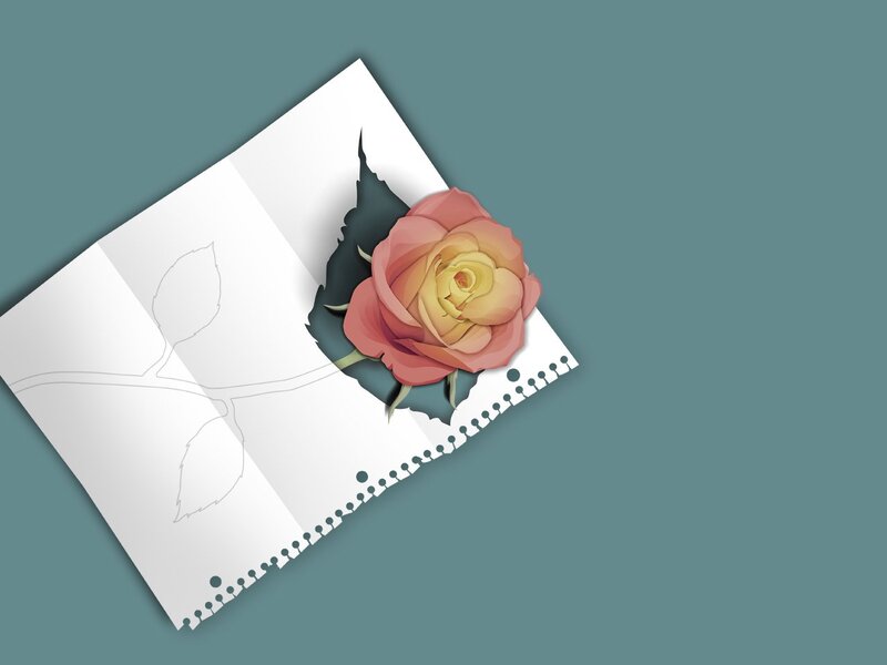 rose emerging from paper
