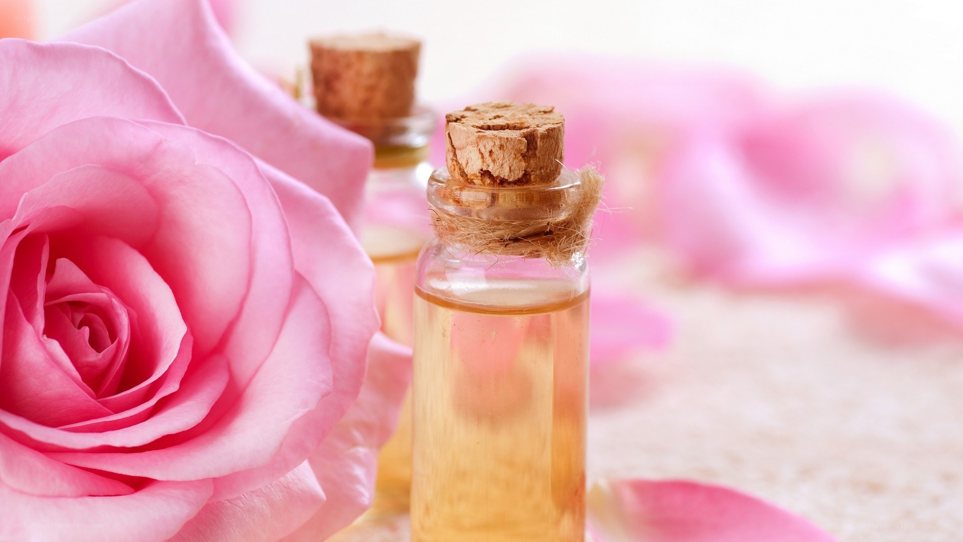 rose essential oil with rose