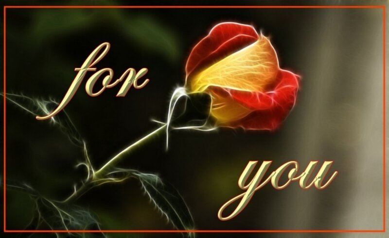 rose for you
