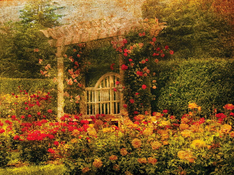 Rose Garden Arbor