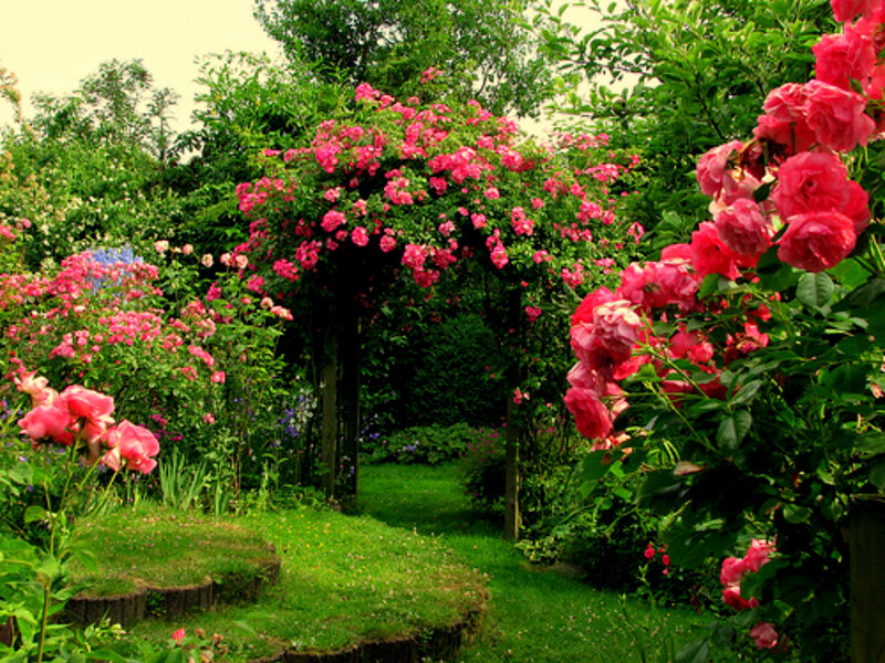 rose garden archway