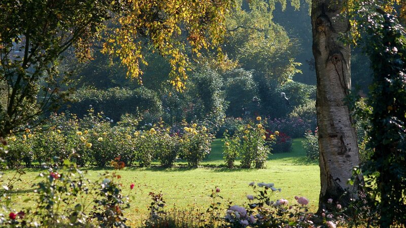 Rose Garden in Autumn