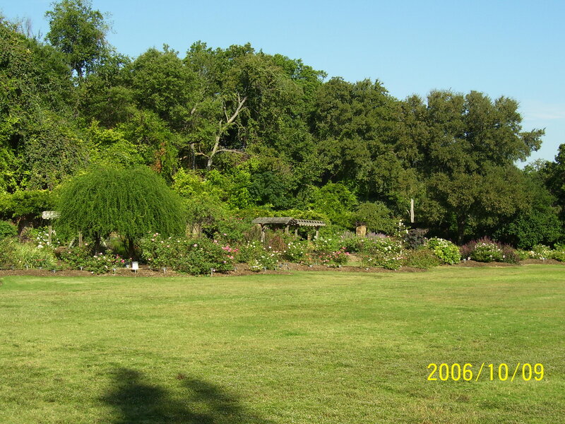 Rose Garden in Park