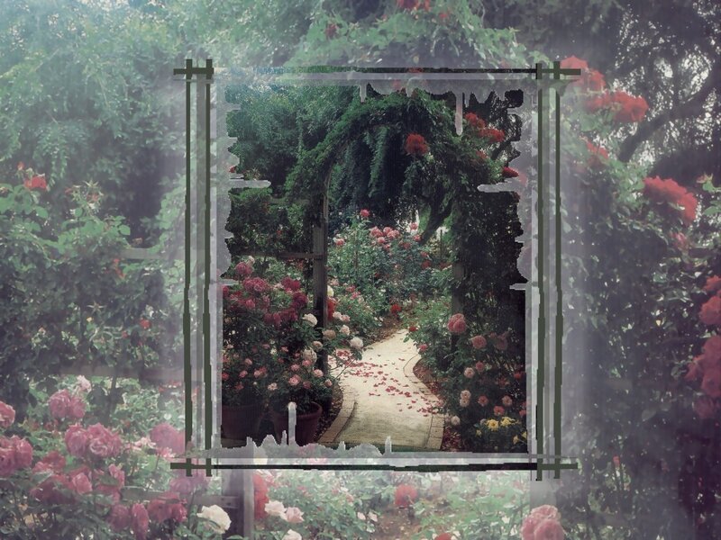 Rose Garden Path — Green
