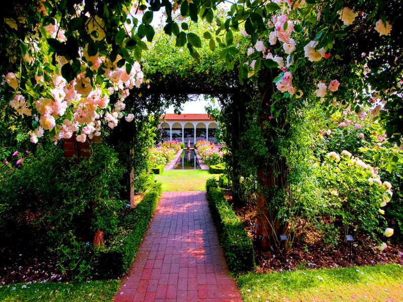 Rose Garden Pathway — Green, Serene
