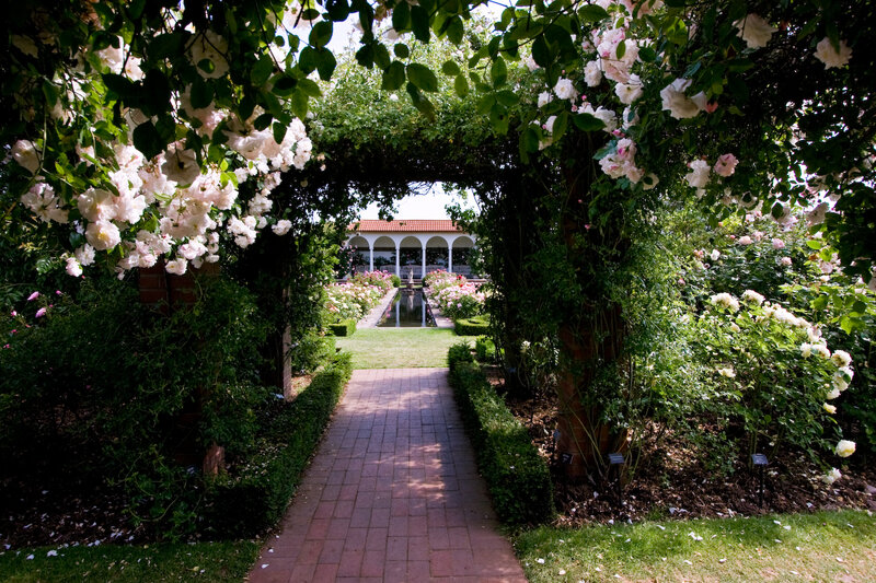 Rose Garden Pathway