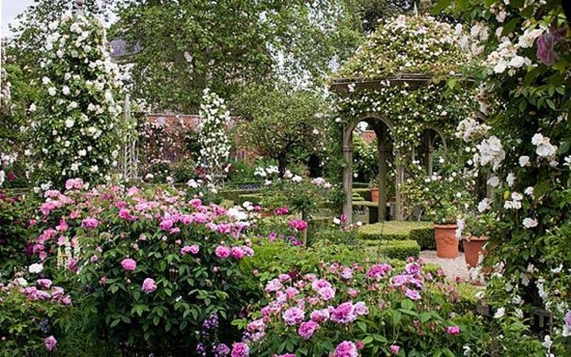 Rose Garden with Arbor — Green, Serene, Afternoon