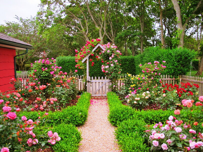Rose Garden with Arbor — Green, Serene