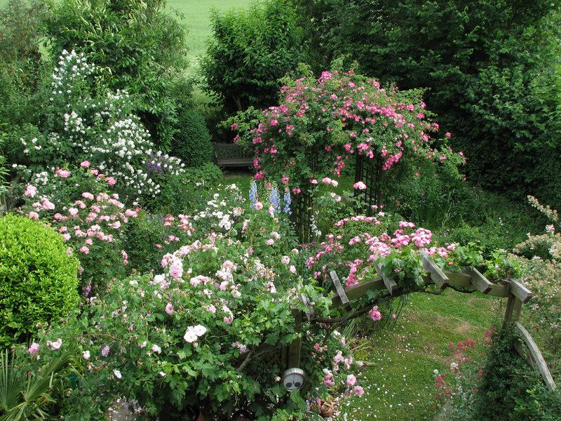 Rose Garden with Arbor — Green