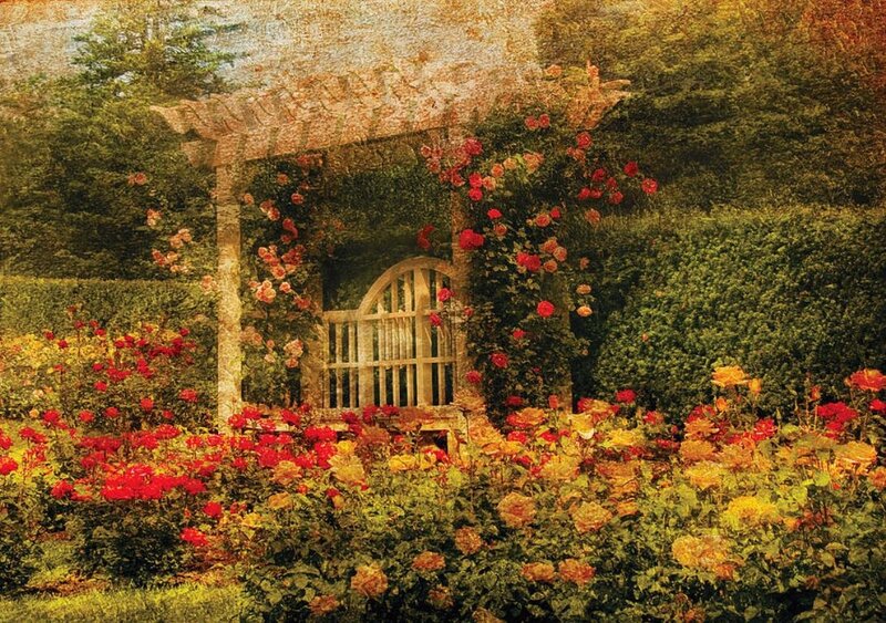 Rose Garden with Arbor — Red, Serene, Summer
