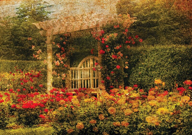 Rose Garden with Arbor — Red, Serene