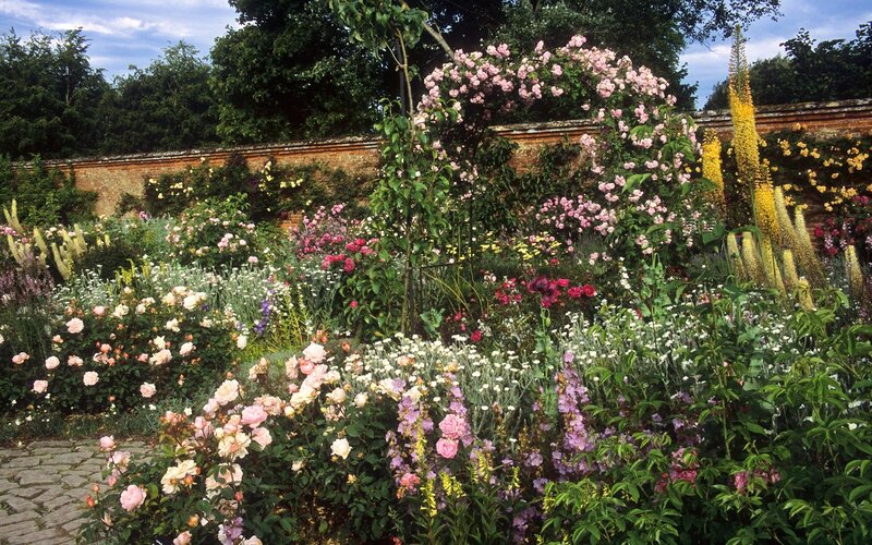 Rose Garden with Arch