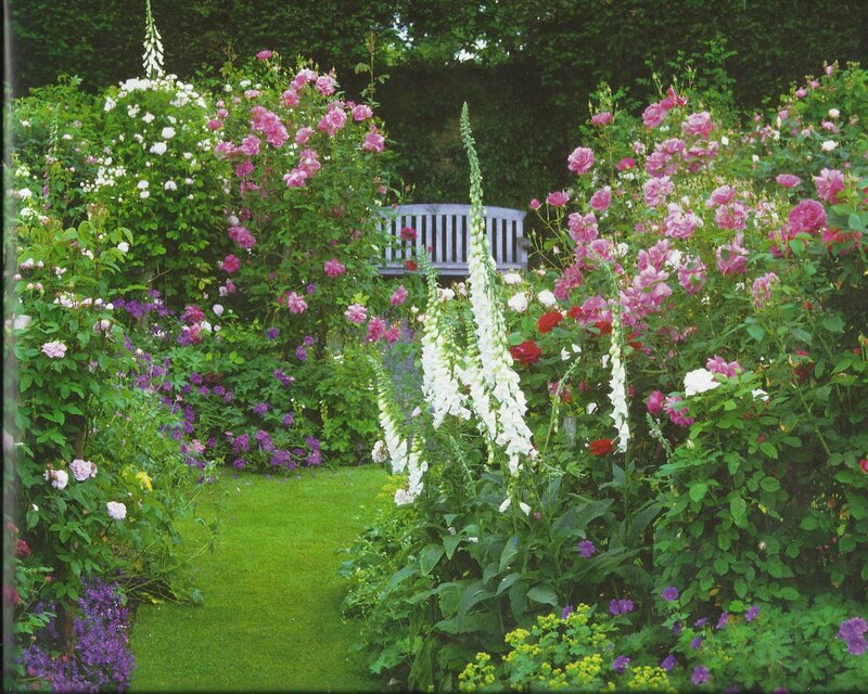 Rose Garden with Bench — Green