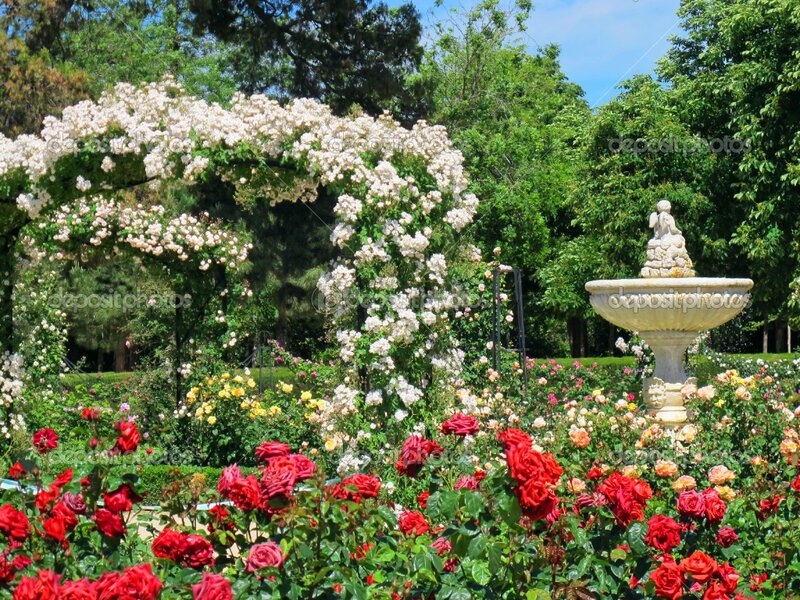 Rose Garden with Fountain — Red, Serene