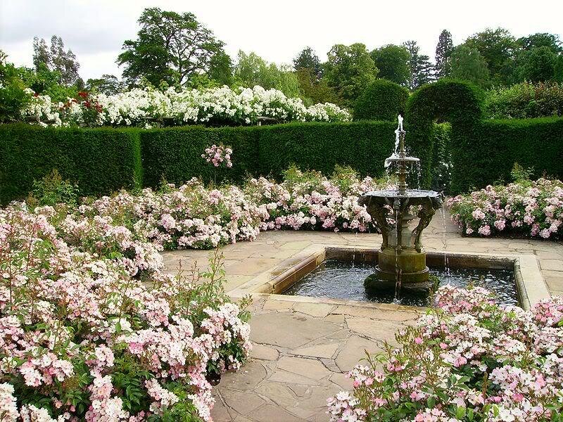 Rose Garden with Fountain
