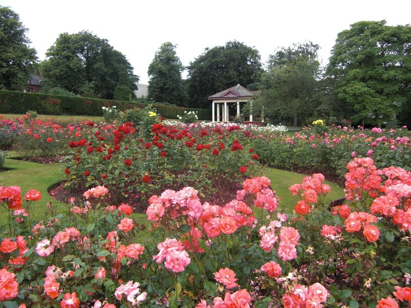 Rose Garden with Gazebo — Pink