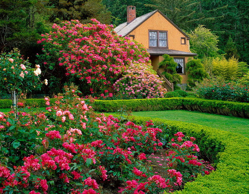 Rose Garden with House