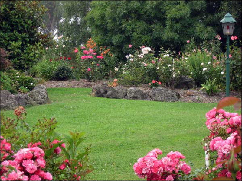 Rose Garden with Lawn