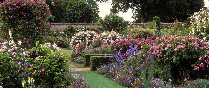 Rose Garden with Path