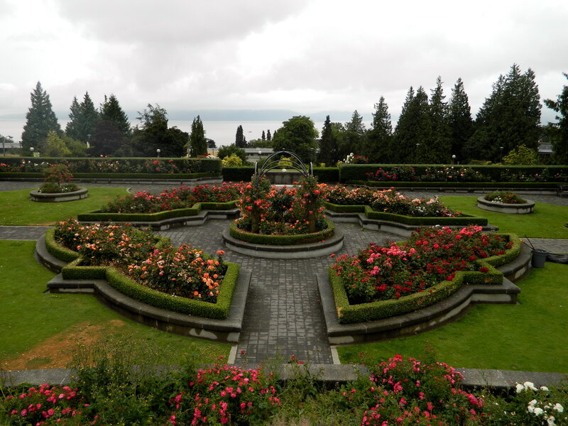 Rose Garden with Pathways — Green