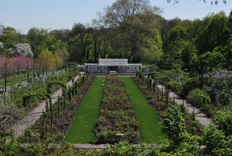 rose garden with pavilion