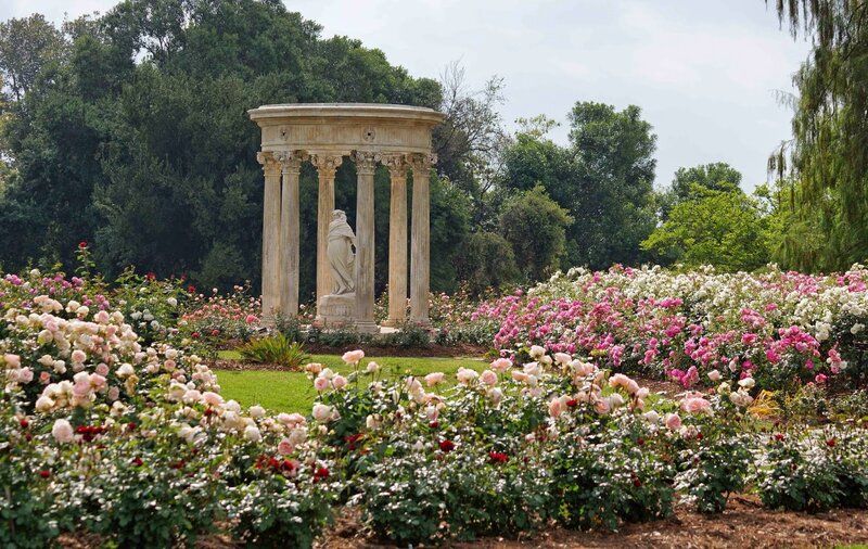 Rose Garden with Statue