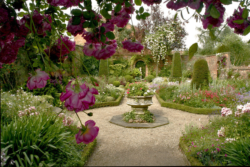 Rose Garden with Stone Path — Purple