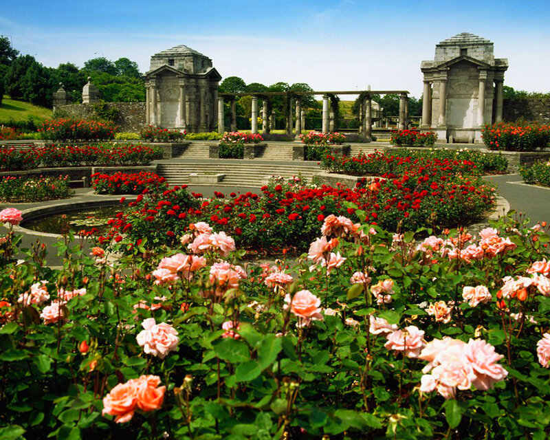 Rose Garden with Stone Structures — Pink