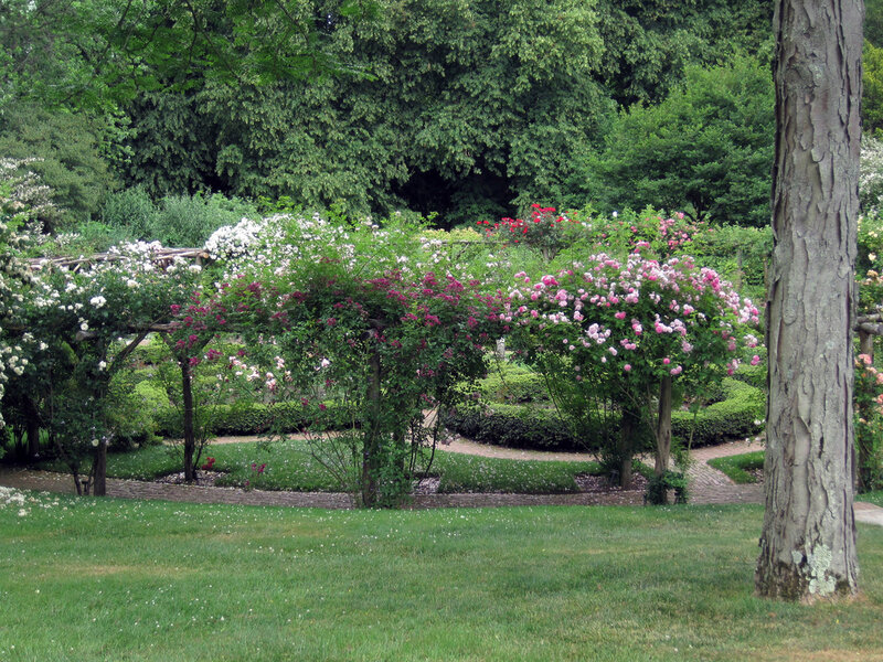 Rose Garden with Trellises