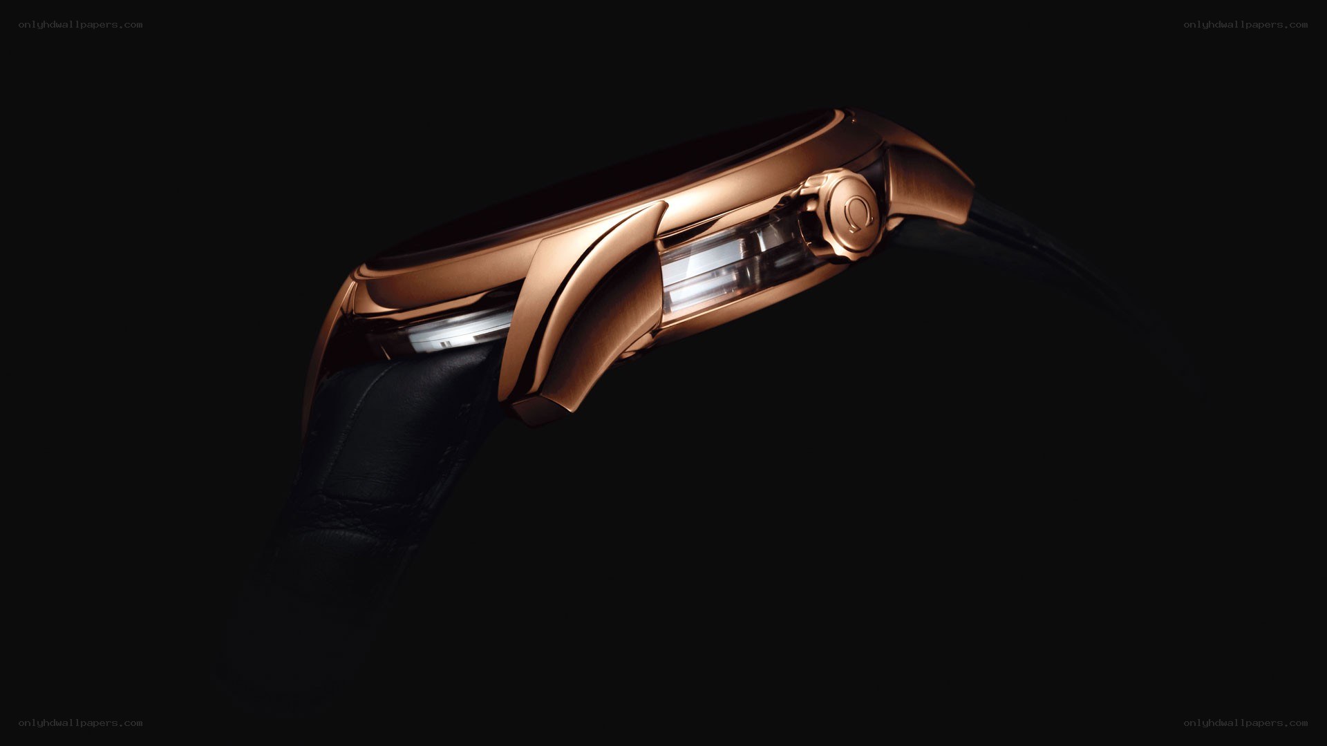 rose gold watch side profile