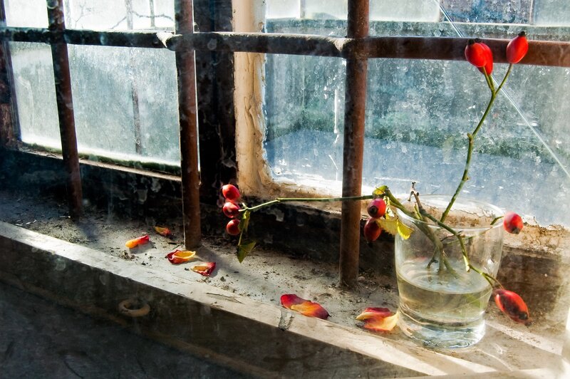 Rose Hips in Glass