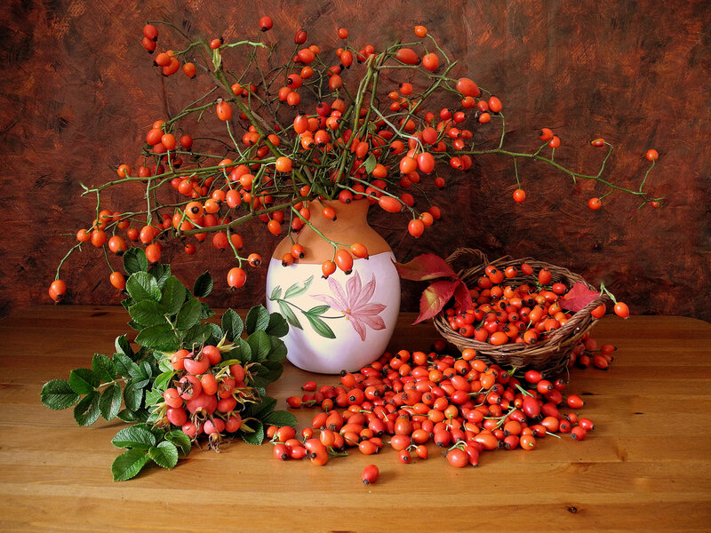 Rose Hips in Vase — Orange