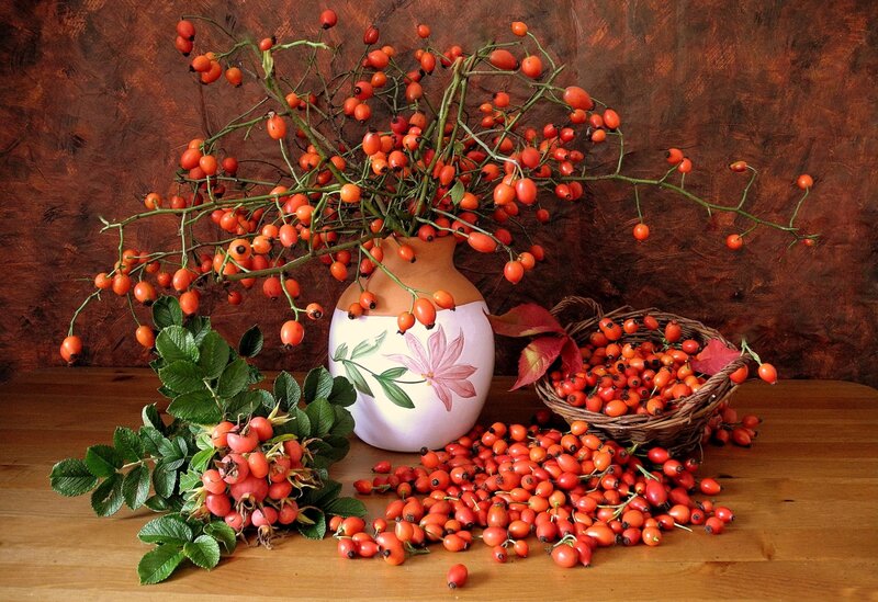 Rose Hips in Vase