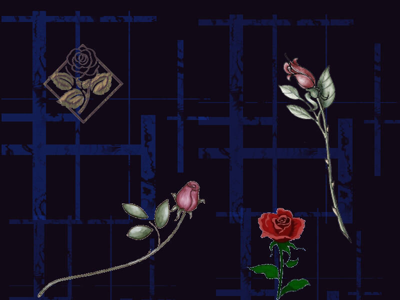 rose illustrations on dark background