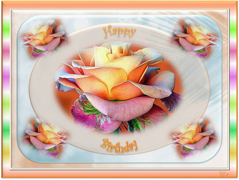 Rose in a Card