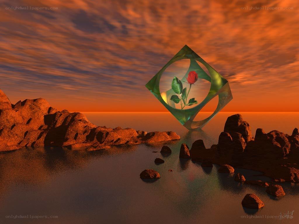 Rose in a crystal cube at sunset