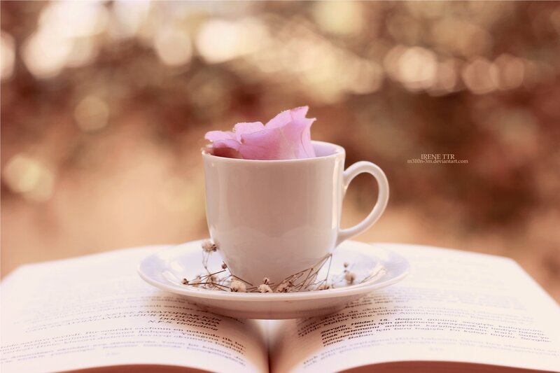 Rose in a Cup