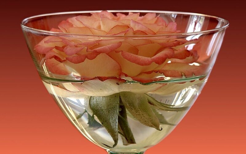 rose in a glass bowl