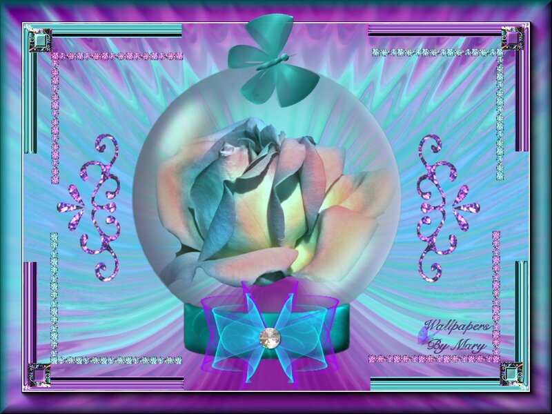 Rose in a Glass Dome