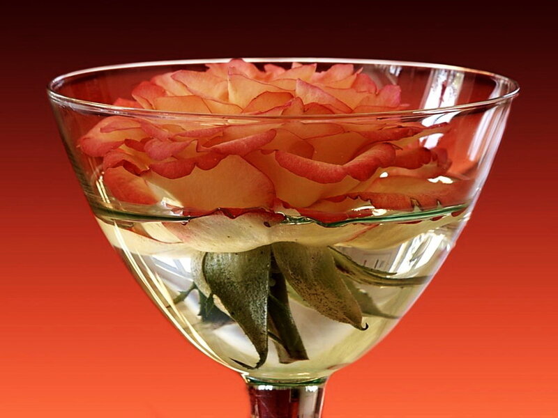 Rose in a Glass — Red, Dramatic