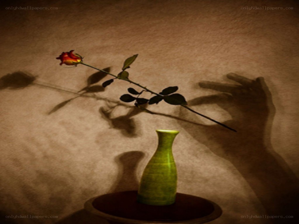 Rose in a green vase