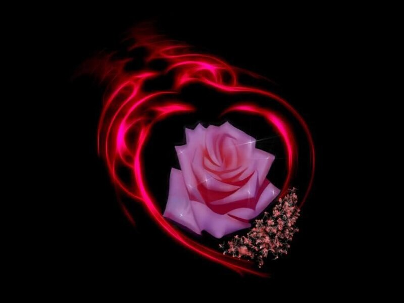 rose in a heart of light