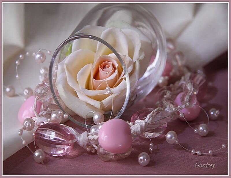 rose in glass with beads