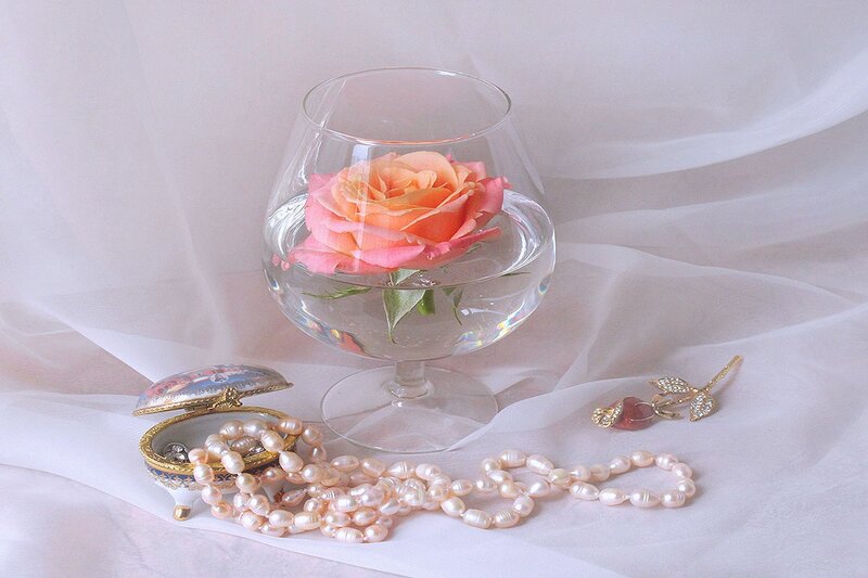 Rose in Glass with Pearls