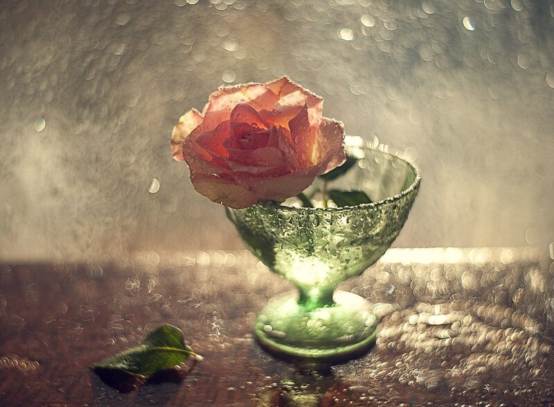 Rose in Green Glass