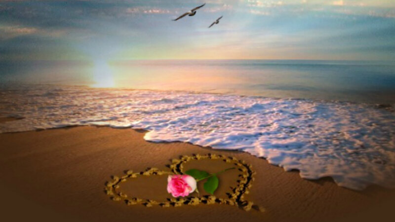 Rose in Heart Shape — Brown