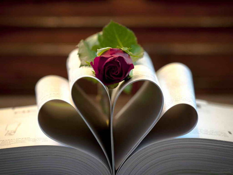 Rose in Heart-shaped Book — White, Romantic