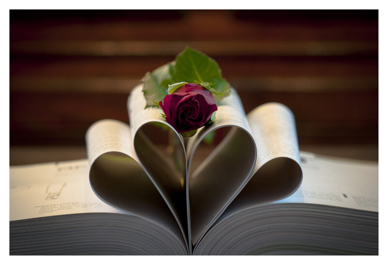 Rose in Heart-shaped Book — White